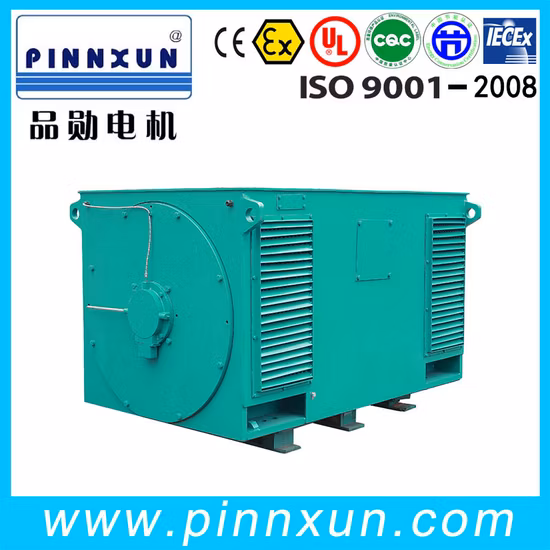 Asynchronous Three Phase Electric High Voltage Motor for Cement Plant