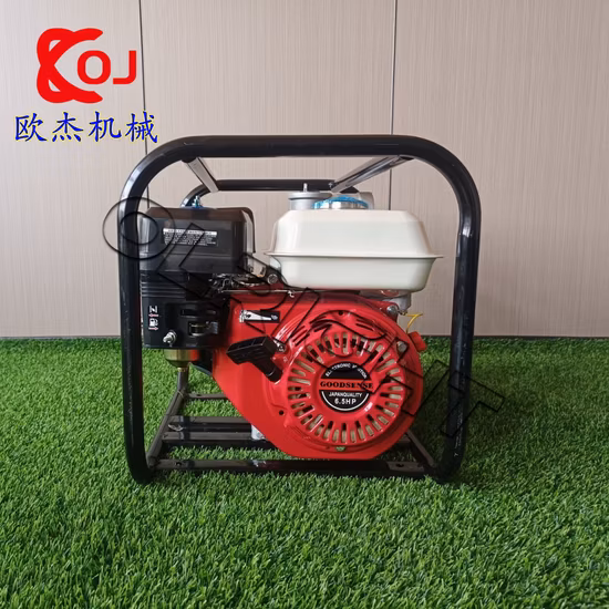 7.5 HP Agriculture High Pressure Water Pump Gasoline Engine for Irrigation Price