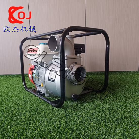 7.5 HP Agriculture High Pressure Water Pump Gasoline Engine for Irrigation Price