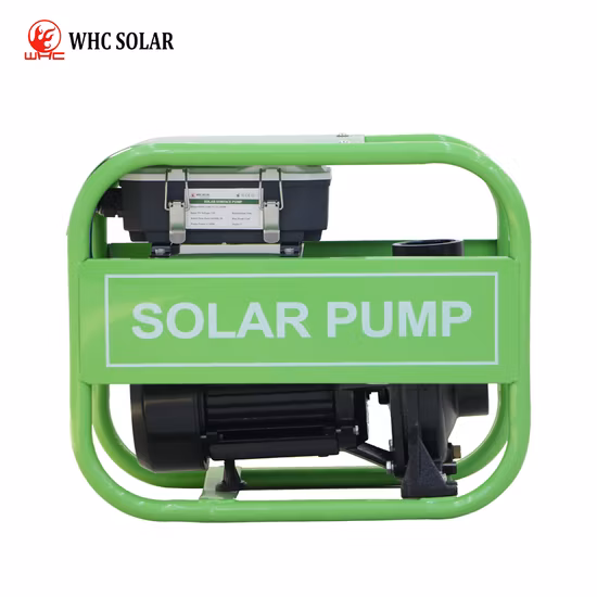 제조자 스테인리스 하수 오물 깊은 우물 관개 정원 높은 원심 분리기 각자